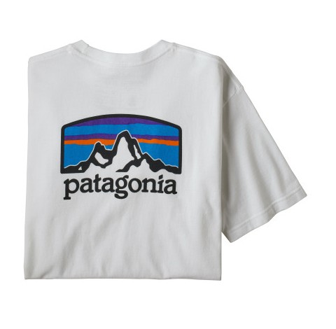 Patagonia 파타고니아 반팔 피츠 로이 호라이즌 남성 베이직 티셔츠 5color