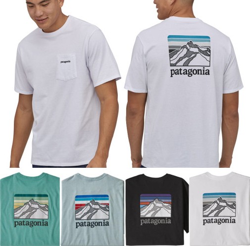 Patagonia 파타고니아 남성 반팔 티셔츠 피츠 로이 호라이즌 포켓 백 로고 티셔츠 5color