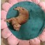애완동물 쿠션 강아지 고양이 꽃잎 방석 애견 마약 쿠션 반려견 반려묘 방석 3color