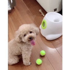 강아지 자동공놀이 반려견 공던져주는 기계 mg011 애완견 장난감