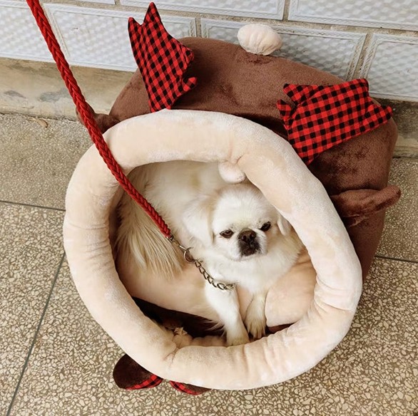 고양이 숨숨집 강아지 하우스 극세사 애완동물하우스 애완견 애완묘