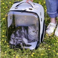 강아지 고양이 이동가방 애완동물 산책가방 켄넬 이동백 애완견백팩 투명가방
